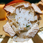 SALONE TOKYO - アオリイカ　ココナッツ　レホール。写真を撮ろうとすると器に反射して間抜けな自分が映る。