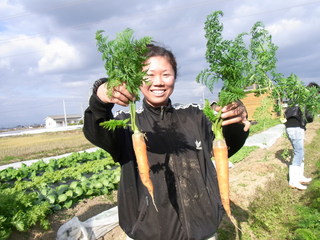 Sanno Miya Kouka Shita Ichiba - 野菜は神戸西区岩岡ユリ農園より直送！新鮮さが違います。