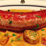 エレゾゲート - 