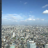 サンシャイン クルーズ・クルーズ - テーブル席からの眺め