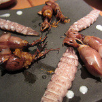 まんてん鮨 - しゃこ、ほたるいか