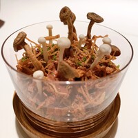 ライラ - ⑮チョコレート　キノコ