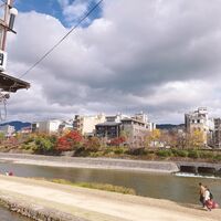 東山望 TAMANOHIKARI - 