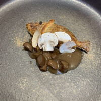 クイントカント - 