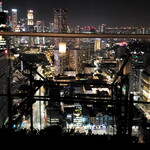 Mr Stork - (2019.09)