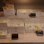 アカシエ - レモンケーキ