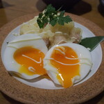 クサツタテナガ -