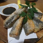 クサツタテナガ -