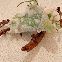 レストラン・モリエール - 