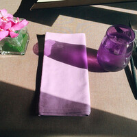 スミレオオサカ - 