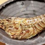 玄水 - 活車海老