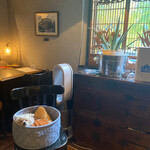 ガストロノミヤ 古賀圭祐 - 