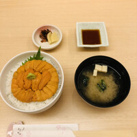 函館うに むらかみ 日本生命札幌ビル店 - 生うに丼　レギュラー