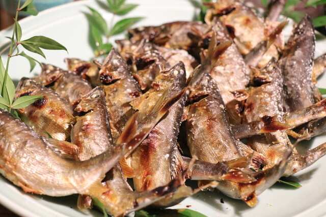 鮎や 砺波市その他 魚介料理 海鮮料理 食べログ 鮎や 砺波市その他 魚介料理 海鮮料理 食べログ