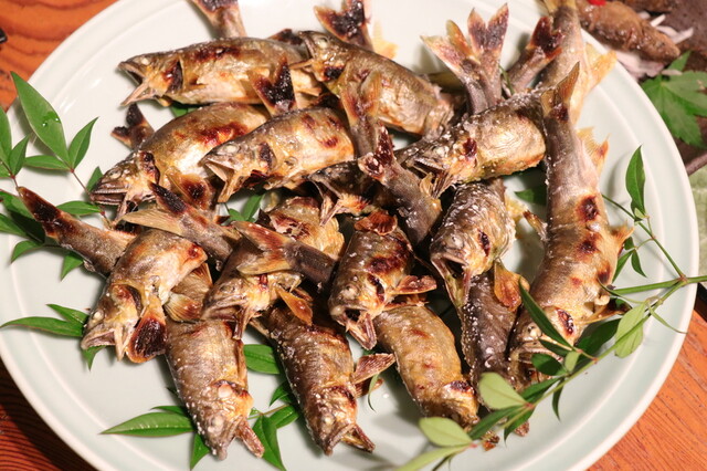 鮎や 砺波市その他 魚介料理 海鮮料理 食べログ 鮎や 砺波市その他 魚介料理 海鮮料理 食べログ