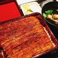 うなぎ 目白ぞろ芽 - 