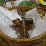 ビストロ割烹 YAOYA - 