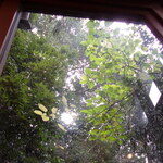 自家焙煎珈琲 Cafe Kubel - 窓