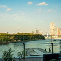 SUD restaurant - 店内からの風景