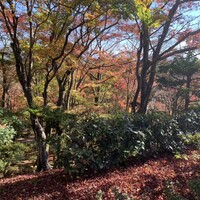 そば茶寮 澤正 - 