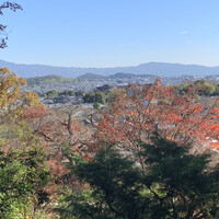 そば茶寮 澤正 - 