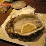 肴 大富 - 岩牡蠣