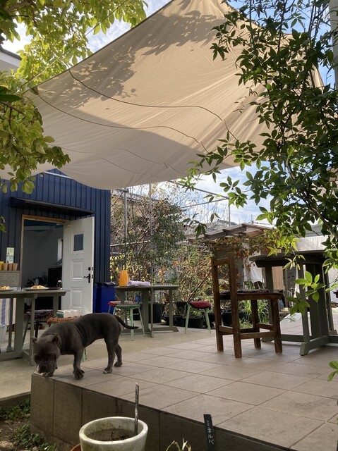 DE LA BLANCHE 1090 photo 5