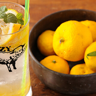 やきとりとサワー 国立FLAT_1