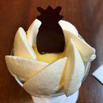 ピエール マルコリーニ - 