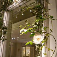 ソンブルイユ TOKYO - ソンブルイユが２輪〜♬