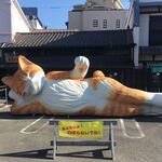 田代 - 駐車場には巨大な涅槃仏
      
      マスクしてる。
      
      
      ミュージアム内は撮影禁止。
      
      娘に小さな招き猫買った。
      
      
      さーーー鰻いこ！鰻ヽ(´o｀
      
      
      その後膝から落ちる
      
      
      