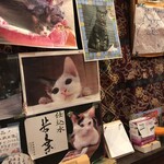 Izakaya Mamezo - 猫好き溢れる店内