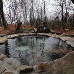 野の花山荘 - 立ち湯　深い
