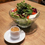 伊達の牛たん本舗 - こだわり野菜のドレッシングサラダ