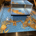 大宮 甲羅本店 - 