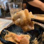 極 - 白子　アップ