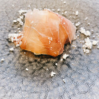 クイントカント - 洋梨のインサラータ。燻製生ハムが豪華。