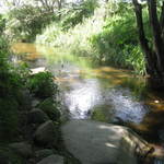 遠野食肉センター - 食後はカッパ渕へ・・・。捕獲ならず！