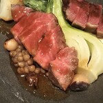 ビステリア サトッロ - 