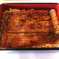 鰻割烹 伊豆栄 本店 - うな重松