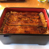 鰻割烹 伊豆栄 本店 - 