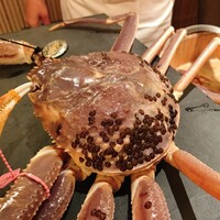 かにじぇんぬ 北新地 - 
