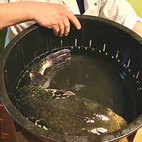 日本料理 梅林 - 