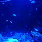 個室焼肉・神戸牛官兵衛 - 