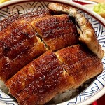 炭焼 うな富士 - 