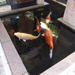 浅草むぎとろ - 鯉いました。