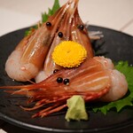 美食処 和彩美 - ボタン海老のお造り