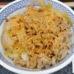 Yoshinoya - 