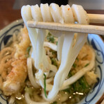 Marugame Seimen - 