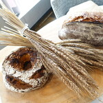 エスキス - 自家製パン